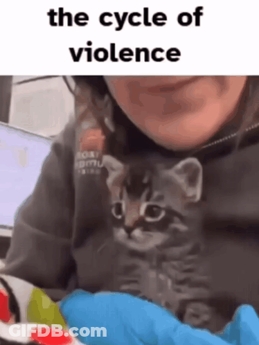 Woman Holding Kitten Saying The Cycle Of Violence GIF