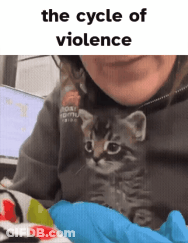 Woman Holding Kitten The Cycle Of Violence GIF