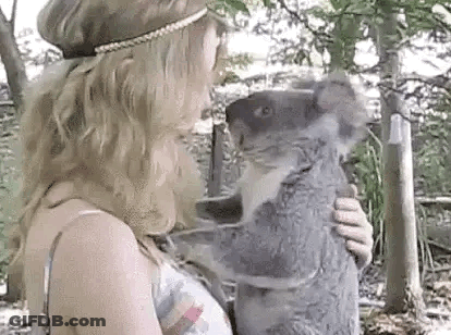 Woman Holding Koala Bear In Forest GIF