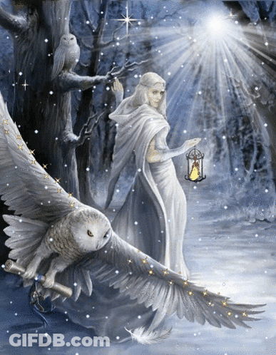 Woman Holding Lantern And Owl GIF