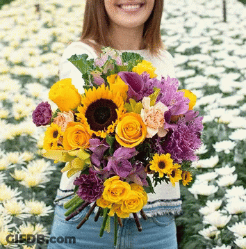 Woman Holding Large Bouquet Of Sunflowers And Purple Flowers GIF