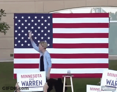 Woman Holding Minnesota For Warren Sign In Front Of American Flag GIF