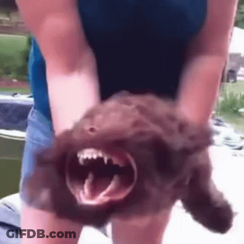 Woman Holding Open-Mouthed Stuffed Animal GIF