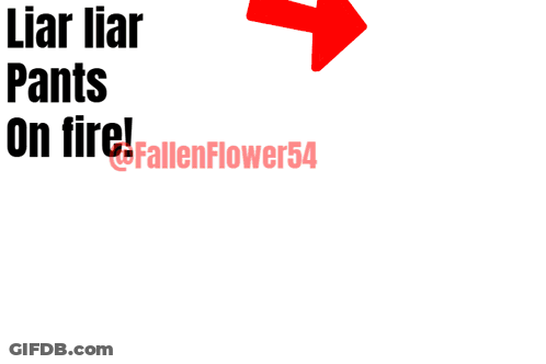 Woman Holding Paper Saying Liar GIF