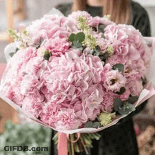 Woman Holding Pink Bouquet In Pink Paper GIF