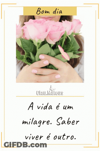Woman Holding Pink Roses Bom Dia GIF