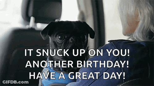 Woman Holding Pug Saying It Snuck Up GIF