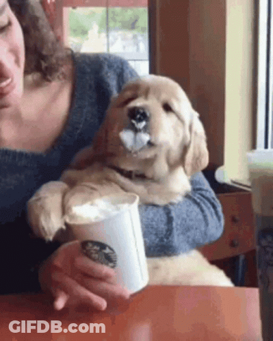 Woman Holding Puppy Drinking Coffee GIF