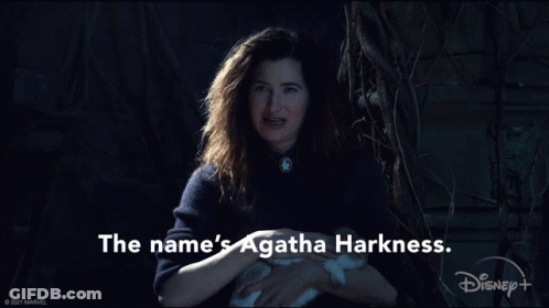 Woman Holding Rabbit Named Agatha Harkness GIF