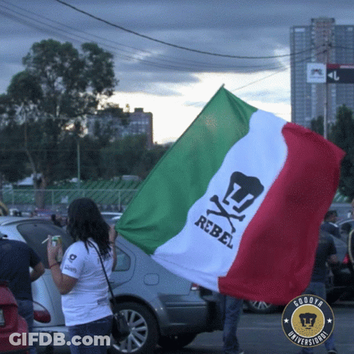 Woman Holding Rebel Flag In Front Of Car GIF