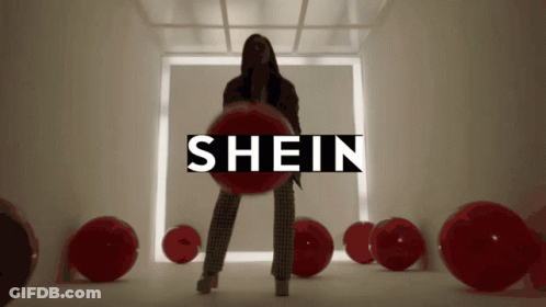 Woman Holding Red Ball With Shein GIF