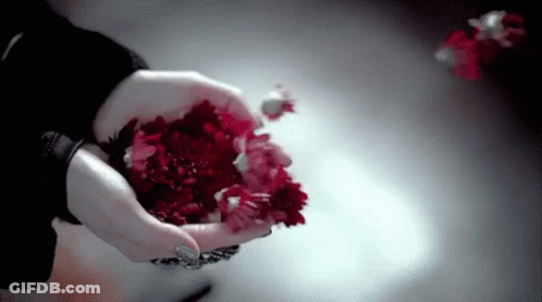 Woman Holding Red Flowers GIF