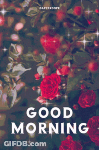 Woman Holding Red Rose And Heart Ring GIF