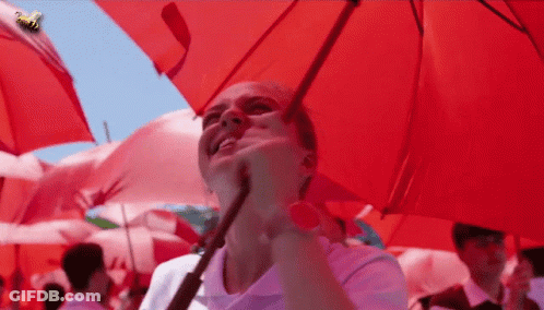 Woman Holding Red Umbrella With Bee GIF