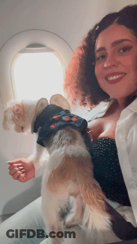 Woman Holding Small Dog And Smiling GIF