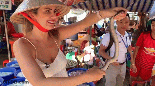 Woman Holding Snake In Market Wearing Chevrolet Shirt GIF