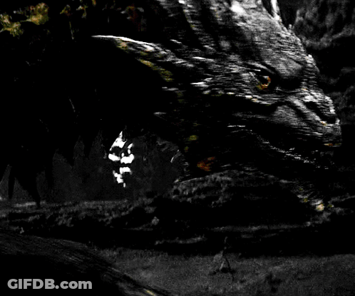Woman Holding Sword In Front Of Monster Black And White GIF