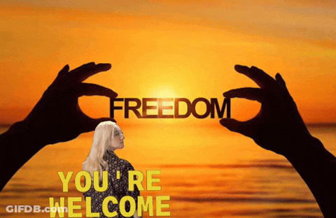 Woman Holding Word Freedom At Sunset GIF