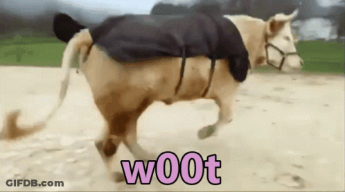 Woman Hugging Brown And White Cow Laying On Ground GIF