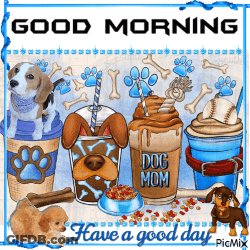 Woman Hugging Dog And Cat Happy Day GIF