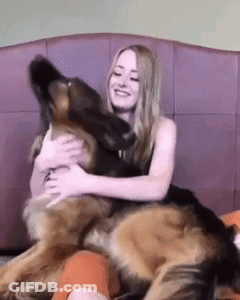 Woman Hugging Large German Shepherd On Bed GIF