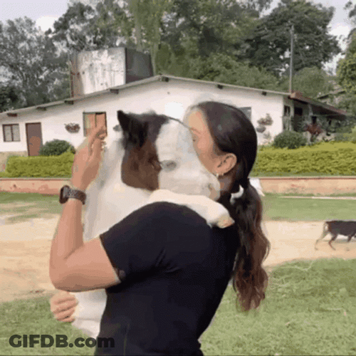 Woman Hugging Small Pony GIF