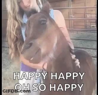 Woman Hugging Smiling Brown Horse In Fenced Area GIF