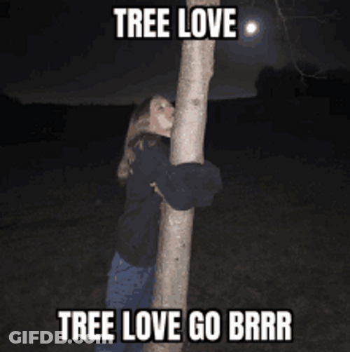 Woman Hugging Tree Tightly Tree Love Meme GIF