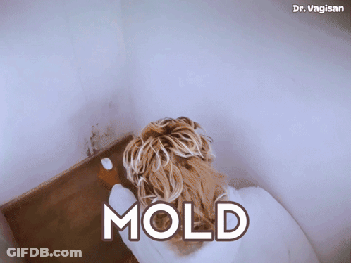 Woman In Bathrobe Cleaning Wall Mold GIF