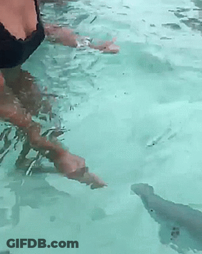 Woman In Black Bra Swimming In Pool GIF