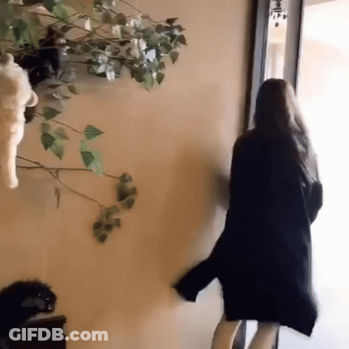 Woman In Black Coat By Wall Of Stuffed Animals GIF