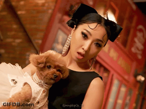 Woman In Black Dress Holding Small Brown Dog GIF