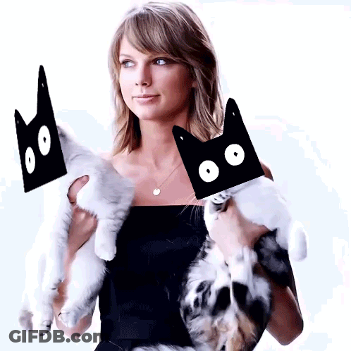 Woman In Black Dress Holding Two Cats GIF