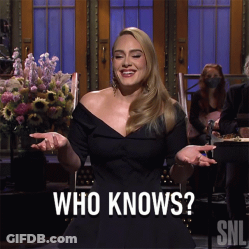 Woman In Black Dress In Front Of SNL Sign GIF