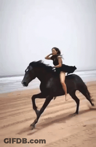 Woman In Black Dress Riding Black Horse On Beach GIF