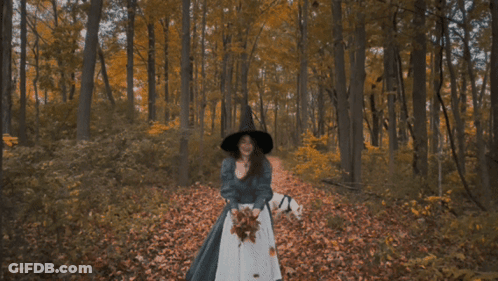 Woman In Black Hat Throwing Leaves In Forest GIF