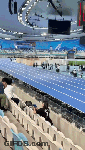 Woman In Black Number 1 Shirt In Stadium Stands GIF