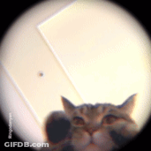 Woman In Black Shirt Standing In Front Of Bed With Pink Lamp GIF