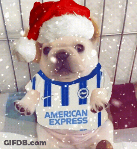 Woman In Blue And White American Express Shirt GIF