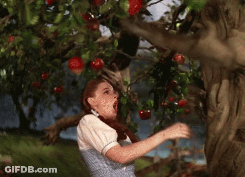 Woman In Blue And White Dress Eating Apples From Tree GIF