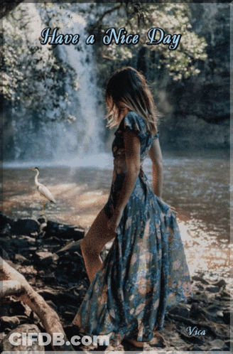 Woman In Blue Dress Waterfall Saying Have A Nice Day GIF
