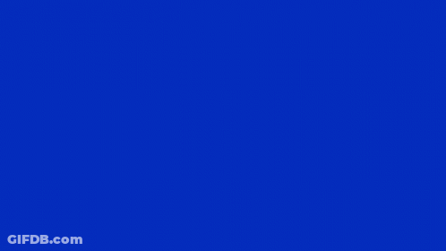Woman In Blue Dress With Fries And Blue Bottles GIF