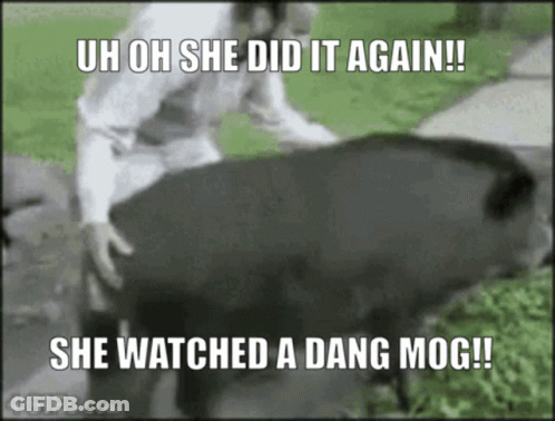 Woman In Blue Headband Saying Thats Suspicious Thats Weird GIF