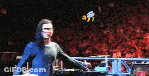 Woman In Blue Hoodie Standing Before Crowd With Bee GIF
