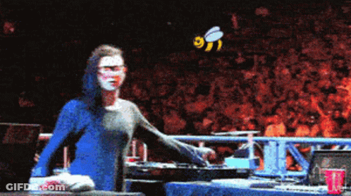 Woman In Blue Shirt In Front Of Crowd With Bee GIF