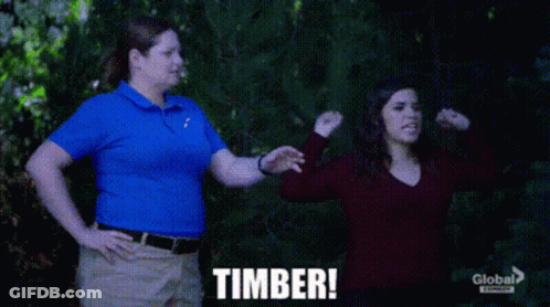 Woman In Blue Shirt Next To Woman In Red Shirt Timber GIF
