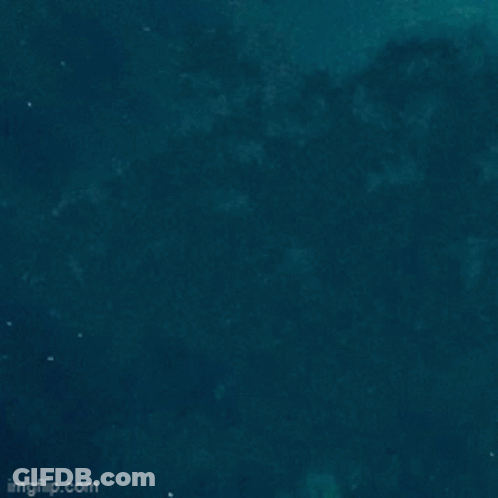 Woman In Brown Hoodie Kneeling In Pool GIF