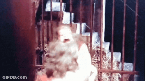 Woman In Cage With Beard Behind Bars GIF