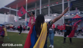 Woman In Cape Holding Flag In Crowd GIF
