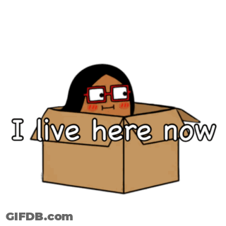 Woman In Cardboard Box Saying I Live Here Now GIF